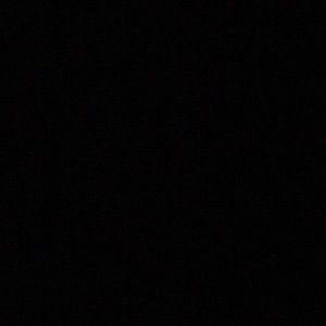 Meet your Posher, Lyla